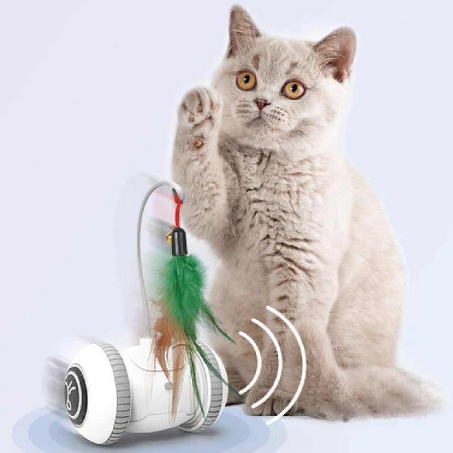 Pets